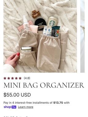 Tote SavvyMini Bag Organizer